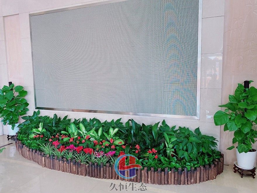 上虞企业大厅显示屏组合花卉绿植摆放